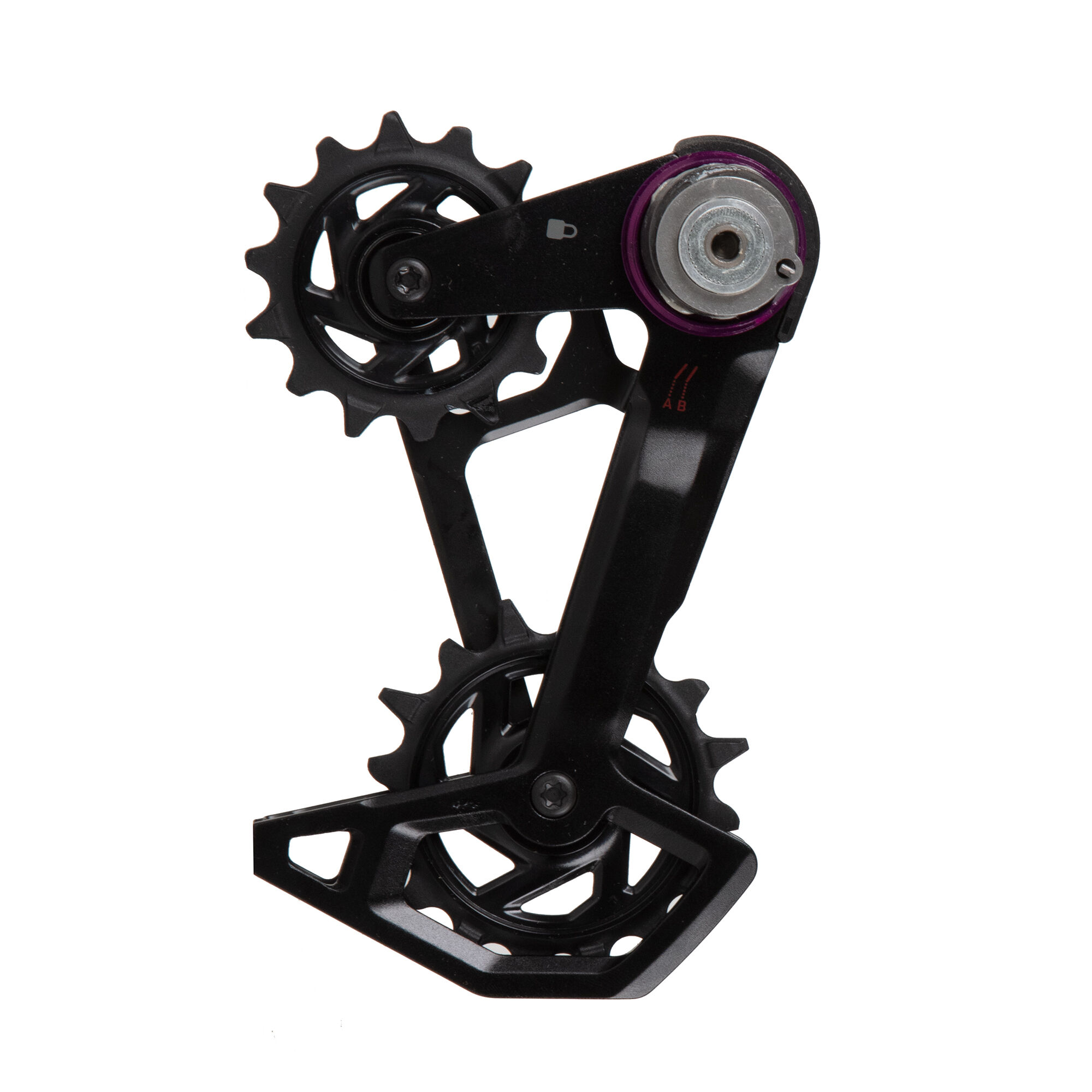 Sram X T Type Eagle Axs Rear Derailleur Cage And Pulley Lordgun Online