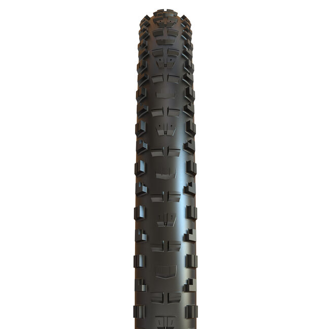 Maxxis Minion DHR II 3C Maxx Terra EXO+ tubeless ready WT 29