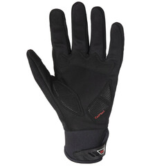 Rh+ Shark gloves