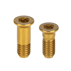 SET VITI LIMITE - PER; SRAM EAGLE, XX1 XO1 GX NX 12 VELOCITÀ