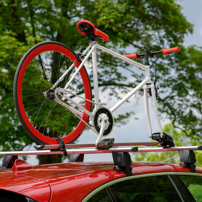 Pro Bike Roof Rack Carrier