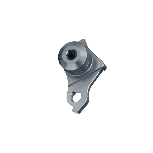 Sram best sale derailleur hanger