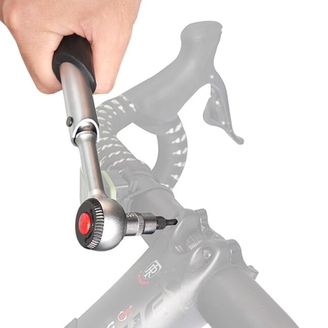 Set Chiave Dinamometrica 15 Pezzi 1/4 - Per Bici E Moto, Precisione ±3%, 2-24 Nm Con Punte