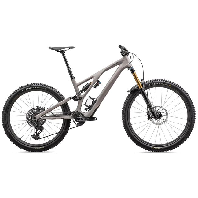 2021 stumpjumper evo online pro