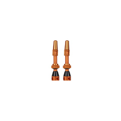 DRELD 2 valvole Tubeless per bicicletta, 44 mm, 1 paio di valvole Presta Tubeless, per mountain bike, tubeless Presta, in lega di alluminio, gambo della valvola tubeless Presta (44 mm oro