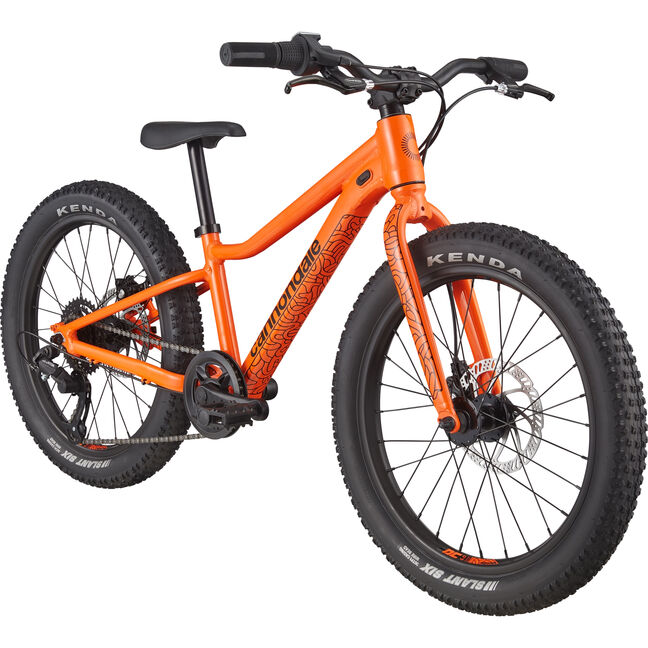 Bicicletta Cannondale Kids Trail Plus 20 LordGun online bike store