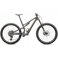 Specialized Stumpjumper 15 Expert 2025