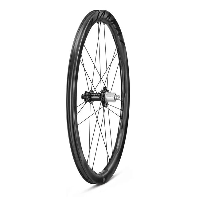 Kit Rayons Roue Arrière Campagnolo Khamsin – KIT-14KHB – 277mm Et 288mm – Neuf