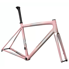 Specialized Aethos frame 2025