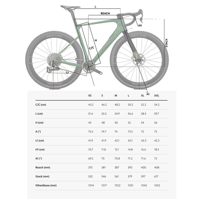 Wilier Triestina Rave Slr ID2 Force Xplr + Miche Graff Aero