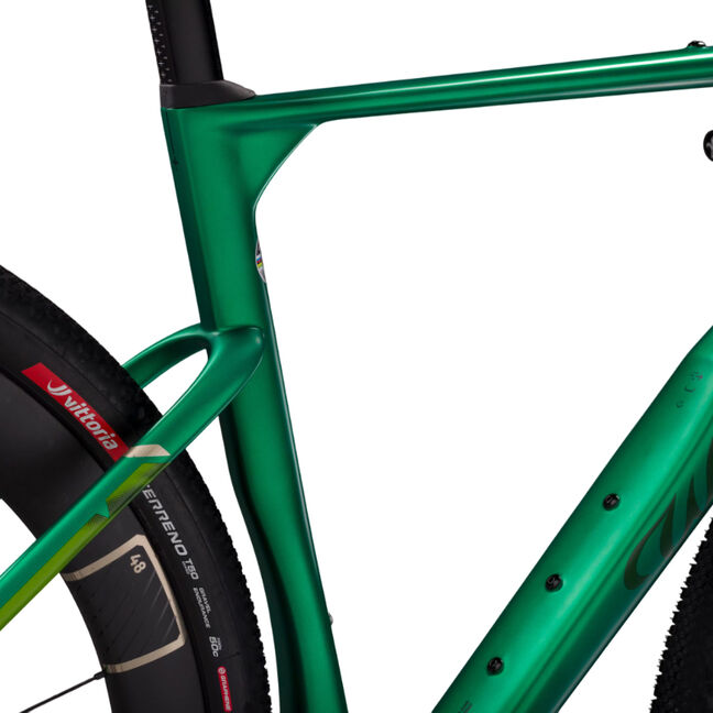 Wilier Triestina Rave Slr ID2 Grx Di2 + Miche Graff Aero 48
