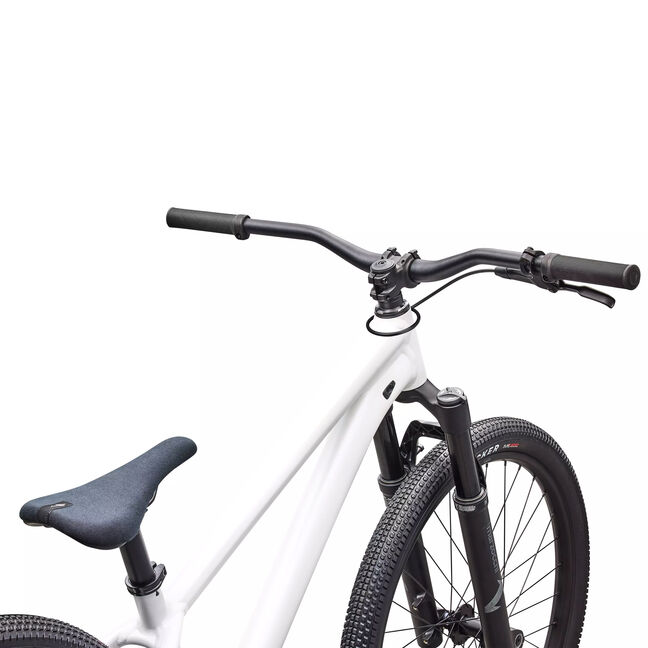 Specialized P.Series P.3 2026 LordGun online bike store