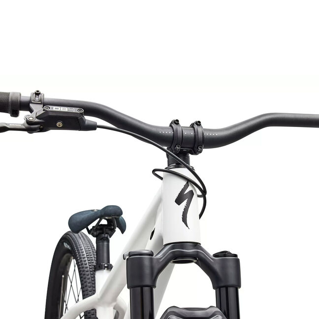 Specialized P.Series P.3 2026 LordGun online bike store