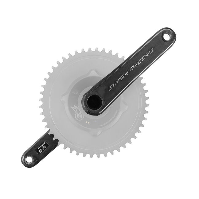 Vélo de course Allegro, Campagnolo Record Rennvelo Original (Gebraucht