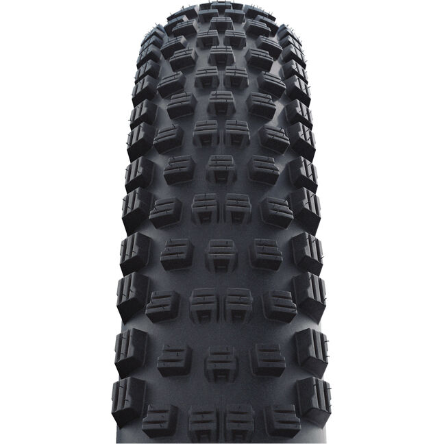 Schwalbe Wicked Will Performance Addix 29x2.4 tyre LordGun online