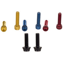 Bottle cage bolts